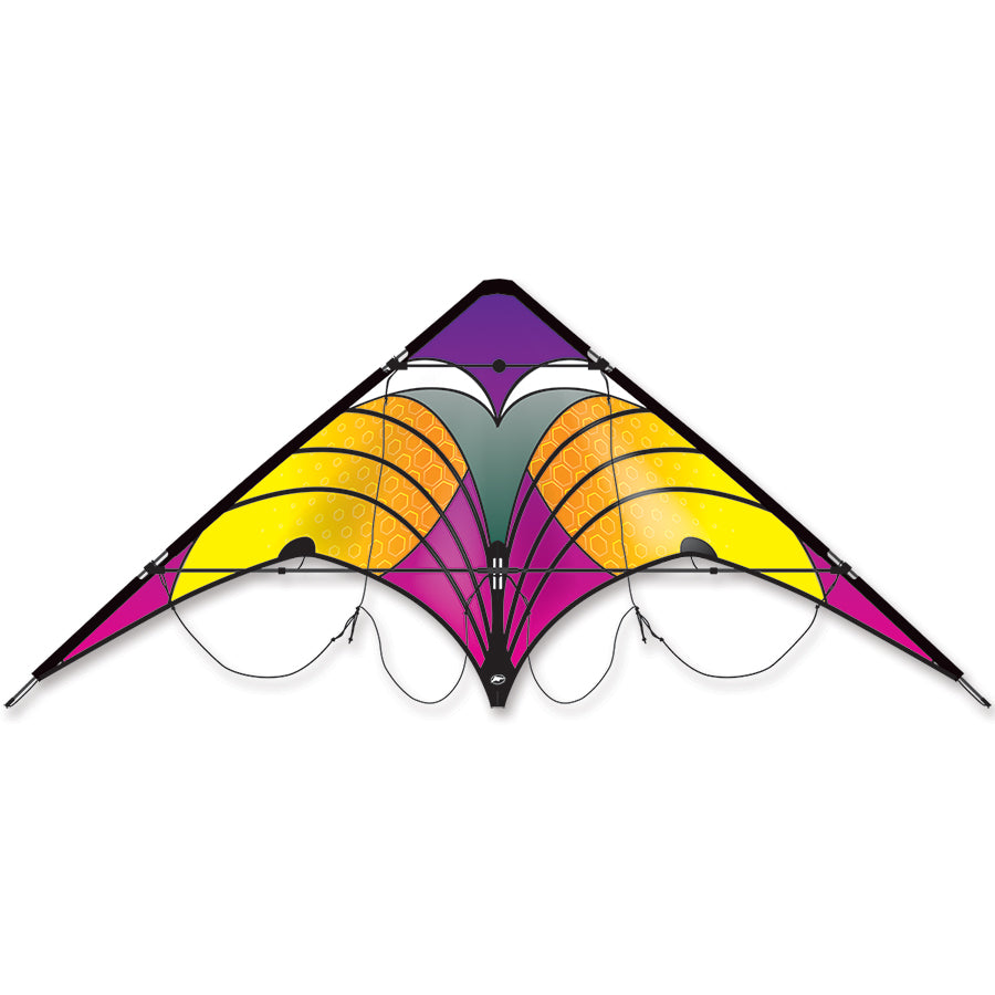 Vision Express Graphics Vision Sport Kite - Rainbow Swift – Magic Kites and Toys