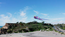 Load and play video in Gallery viewer, Giant 15&#39; Trilobite Airfoil Nylon 3-D Kite
