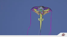 Load and play video in Gallery viewer, 65 Inche Tall 2-D Jumping Nylon Dragon
