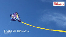 Load and play video in Gallery viewer, 25 Inch Diamond kites
