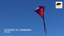 Load and play video in Gallery viewer, 25 Inch Diamond kites
