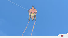 Load and play video in Gallery viewer, DinoSaur 44 inch tall Nylon T-Rex  Kite
