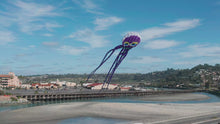 Load and play video in Gallery viewer, Giant 26&#39; Octopus Airfoil Nylon 3-D Kite
