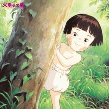 Load image into Gallery viewer, The World Of Studio Ghibli Vinyl Soundtracks
