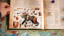 Load image into Gallery viewer, Wondrous Expeditions - Forests (Softcover)
