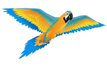 Load image into Gallery viewer, 74 Inch Wingspan 3-D Nylon Blue Macaw Kite
