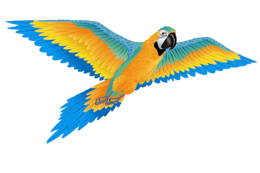 74 Inch Wingspan 3-D Nylon Blue Macaw Kite