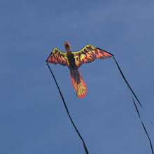 Load image into Gallery viewer, 74 inch (6 foot) Wingspan 3-D Nylon Firebird Phoenix Kite
