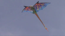 Load and play video in Gallery viewer, 76 Inch (6 Foot) Wingspan 3-D Green Dragon Nylon Kite
