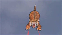 Load and play video in Gallery viewer, DinoSoar Nylon Sabretooth Kite
