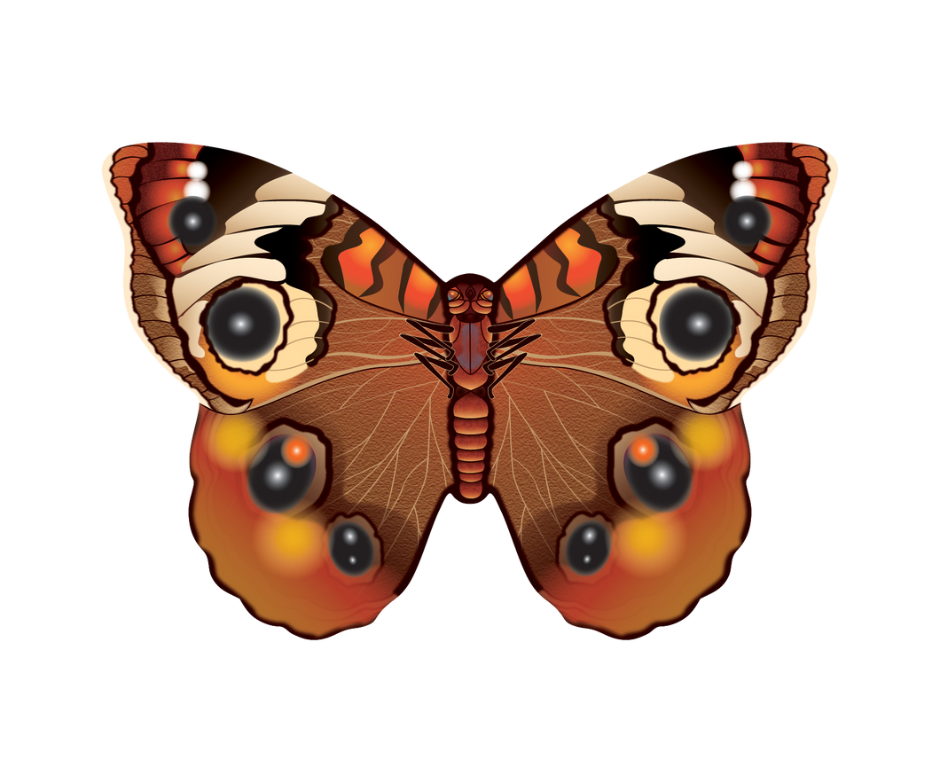 Micro Kite Mylar Buckeye Butterfly