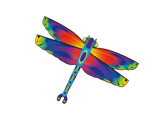 Supersize 2-D Rainbow Dragonfly