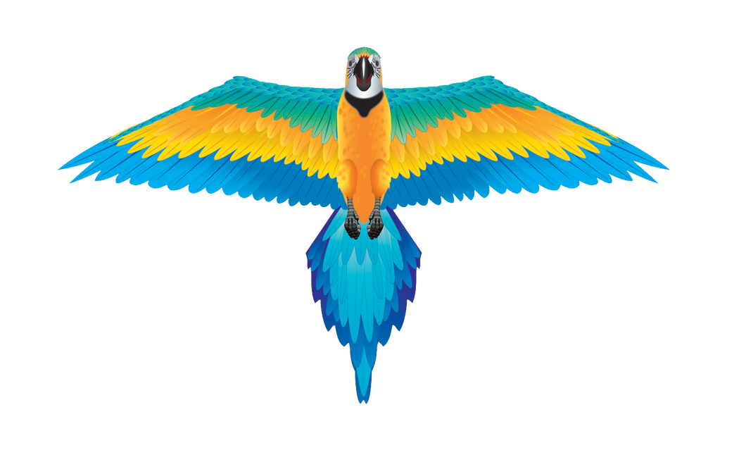 RainForest 61 inch Wingspan Nylon Macaw