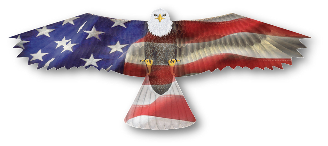 72 Inch Winspac Nylon USA Eagle Kite