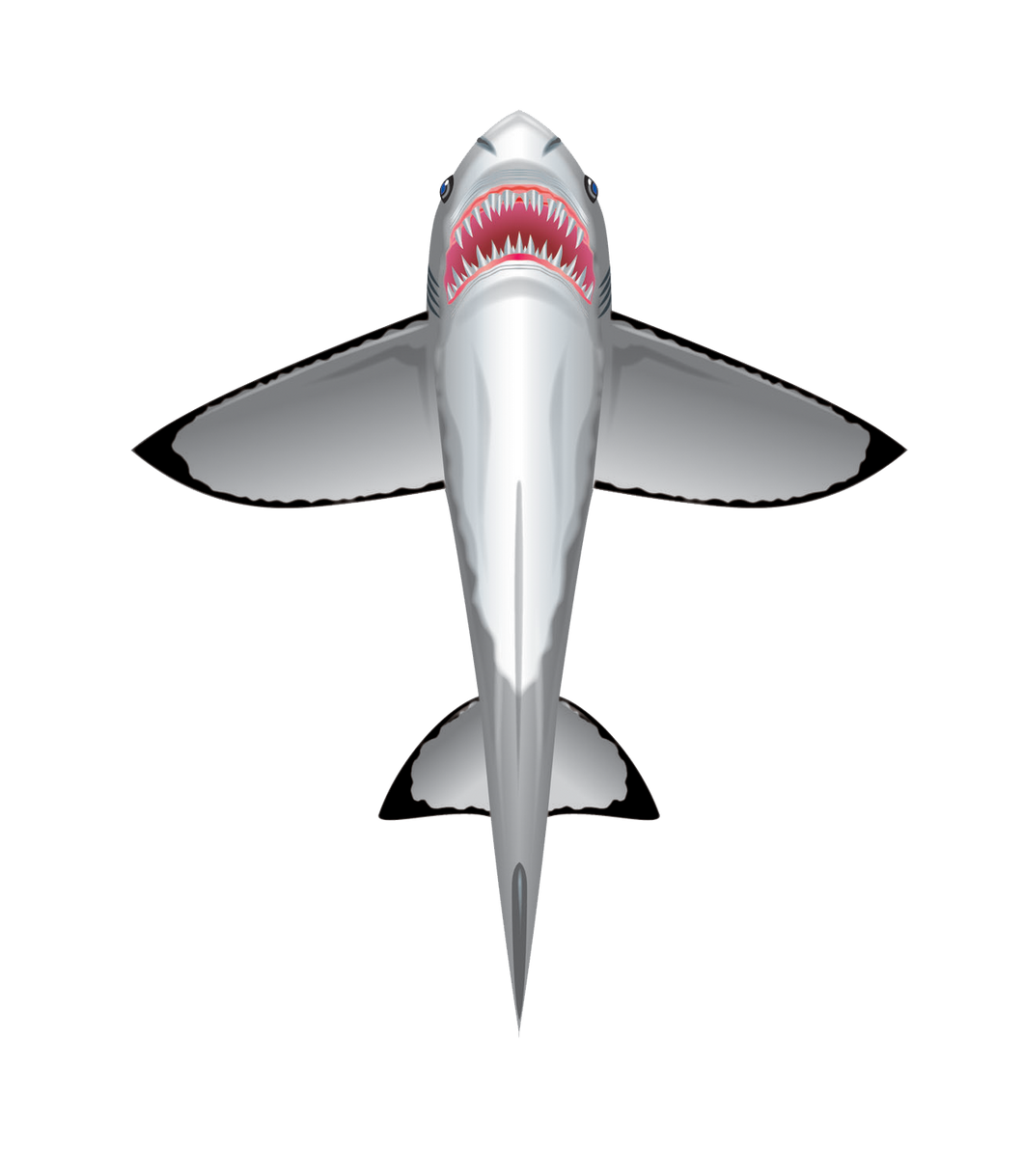 SeaLife 60 inch tall Nylon Shark Kite