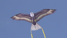 Load and play video in Gallery viewer, 70 Inch Wingspan Nylon Eagle Kite
