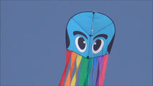 Load and play video in Gallery viewer, 121 inch long Nylon Rainbow Octopus Blue

