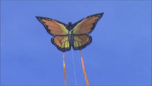 Load and play video in Gallery viewer, Nylon 32&quot; Swallowtail Butterfly kite
