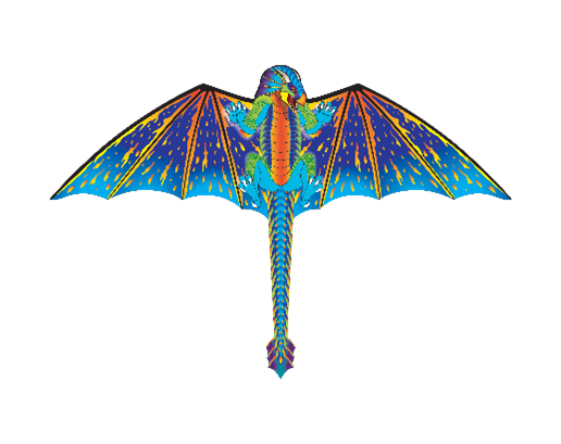 70 Inch Wingspan 2-D Nylon Dragon